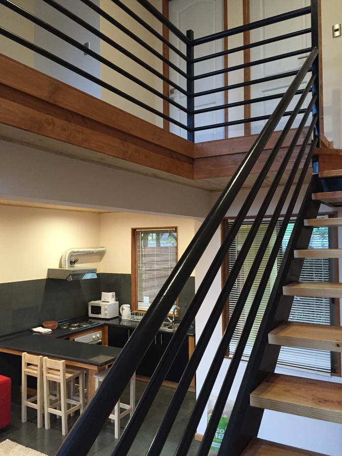 Loft Pucon Lejlighedshotel Eksteriør billede